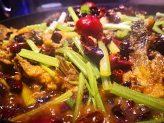 -老板恋上鱼(恒隆广场店)