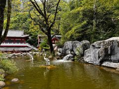 -塔云山