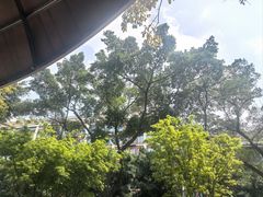 -龍城柳州螺蛳粉(群星路店)