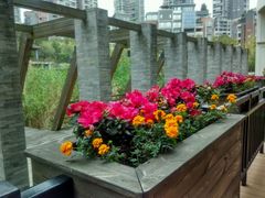 -黔蘑菇四季餐厅(观山湖店)