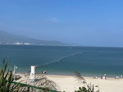 -杨梅坑