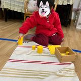 蒙氏园培养人类幼崽