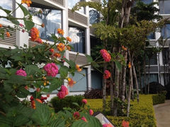 -抚仙湖万达文华酒店