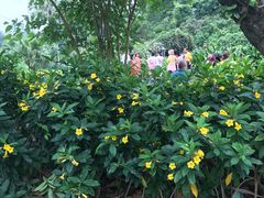 -广西壮族自治区药用植物园