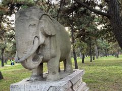 -北陵公园