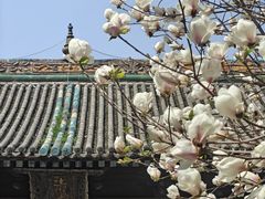 -西安化觉巷清真大寺