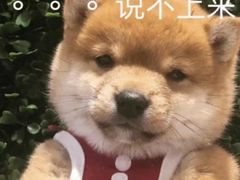 -沃尔玛超市(武侯店)