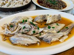 清蒸带鱼-华盛丰温州大排档(东三环南路店)