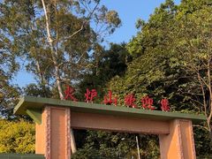 -火炉山森林公园