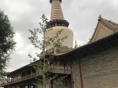 -张掖大佛寺景区