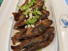 -巩本明鱼屋子
