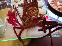 -潮粤香海鲜酒楼(沙湖店)