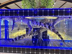 -川骄海鲜自助(河东店)