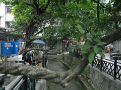 -小洲村