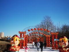 -沈阳奥体冰雪嘉年华