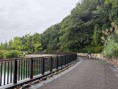 -仙海旅游度假区