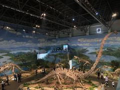 -自贡恐龙博物馆