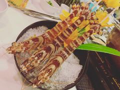 花竹虾-鲜入围煮花胶鸡海鲜火锅