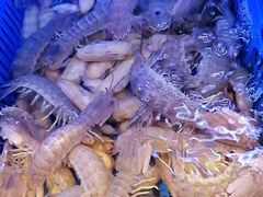 -渔傅印象滩涂霞浦海鲜(井大路店)