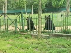 -秦皇岛野生动物园