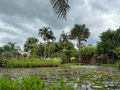 -中国科学院西双版纳热带植物园