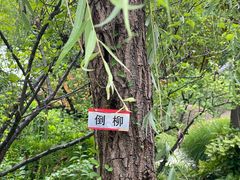 -江宁织造博物馆