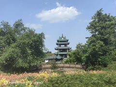 -桂湖森林公园