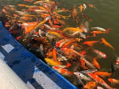 -北戴河圣蓝海洋公园