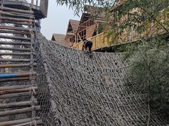 -呀路古热带植物园