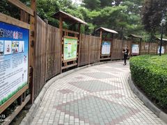 -黄村公园