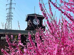 -永定河休闲森林公园