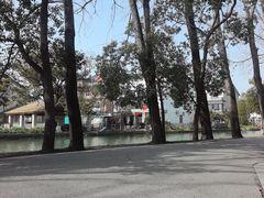 -同里国家湿地公园