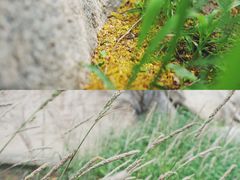 -碓臼峪自然风景区