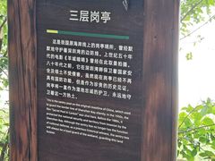 -华侨城湿地公园