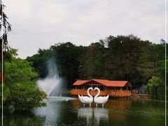 -深圳野生动物园