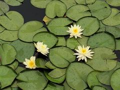 -苏州太湖湖滨国家湿地公园