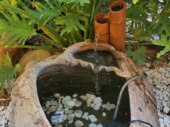 -财神鸡煲(华强北店)