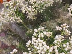 -三旗百汇商品城