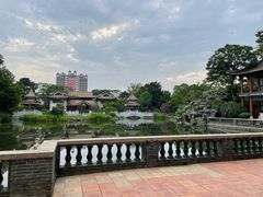 -顺峰山公园