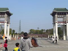 -王借岗森林公园