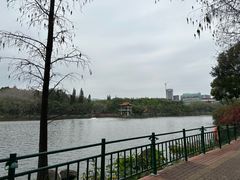 -深圳龙潭公园