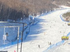 -密苑云顶乐园(云顶滑雪场)