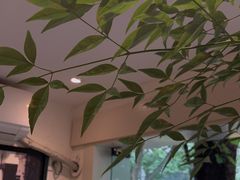 -Joymean coffee.见面咖啡
