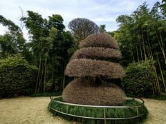 -苏州河梦清园环保主题公园