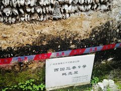 -小洲村