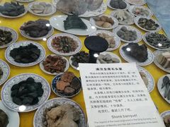 -游龙石文化科普馆