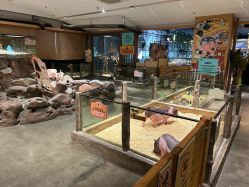 -造物庄园 萌宠纪(苏州湾歌林公园店)