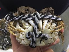 阳澄湖大闸蟹-丫丫蟹庄·苏式园林农家乐·阳澄湖大闸蟹(阳澄湖莲花岛店)