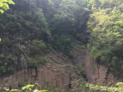-望天鹅景区