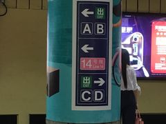 -大望路(地铁站)